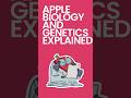 Apple Biology and Genetics Explained