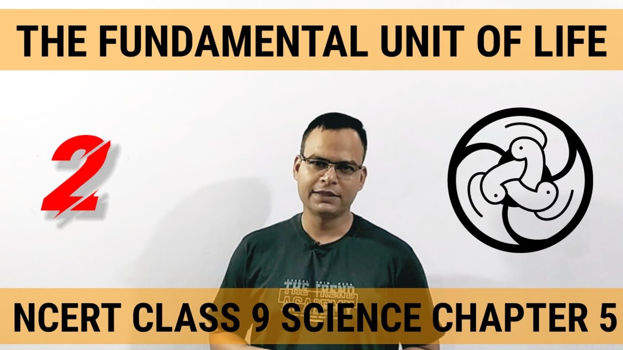 Ncert Class 9 Science Chapter 5 The Fundamental Unit of Life Part 2 ...