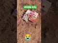 Kuchh kahaniyaan shabd maangti hi nahi…bas mehsoos ki jaati hain 🤍Shanti se alvida 🌿😺