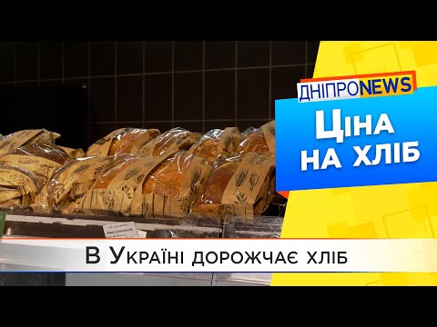 Здорожчання хліба: коли в Україні чекати нові ціни?