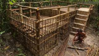 Primitive Technology Dom w DŻUNGLI Wspaniały  Bushman build house