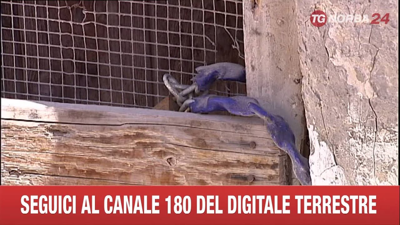 BARI 14ENNE MORTO E ALTRE CASE ABBANDONATE