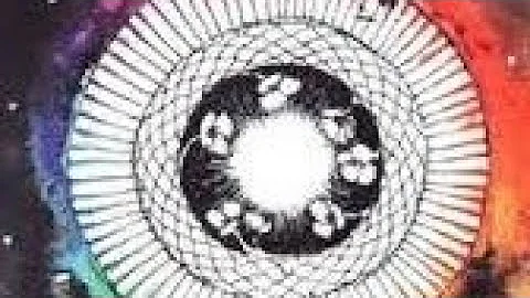 Suit of Pentacles 🐾 The Wild Unknown Tarot card meanings