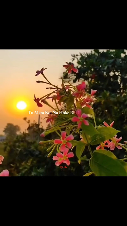 Apna Bana Le | Lyrics Video | Arijit Singh | Romantic Hindi Song