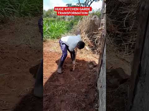 SEE HOW WE TRANSFORMED OUR KITCHEN GARDEN Simpleliving Villagelife Africanvillage Dreamhouse