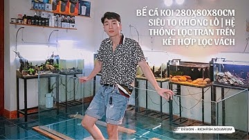 Quá Trình Hoàn Thiện Bể Cá Koi D280xR80xC80cm | Hệ Thống Lọc Tràn Trên Kết Hợp Lọc Vách