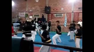 Amo Las Artes Marciales