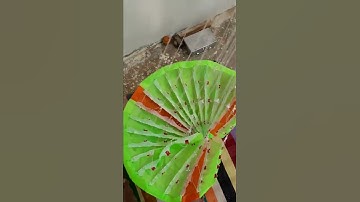 2m rc paramotor... my mo.8160370052