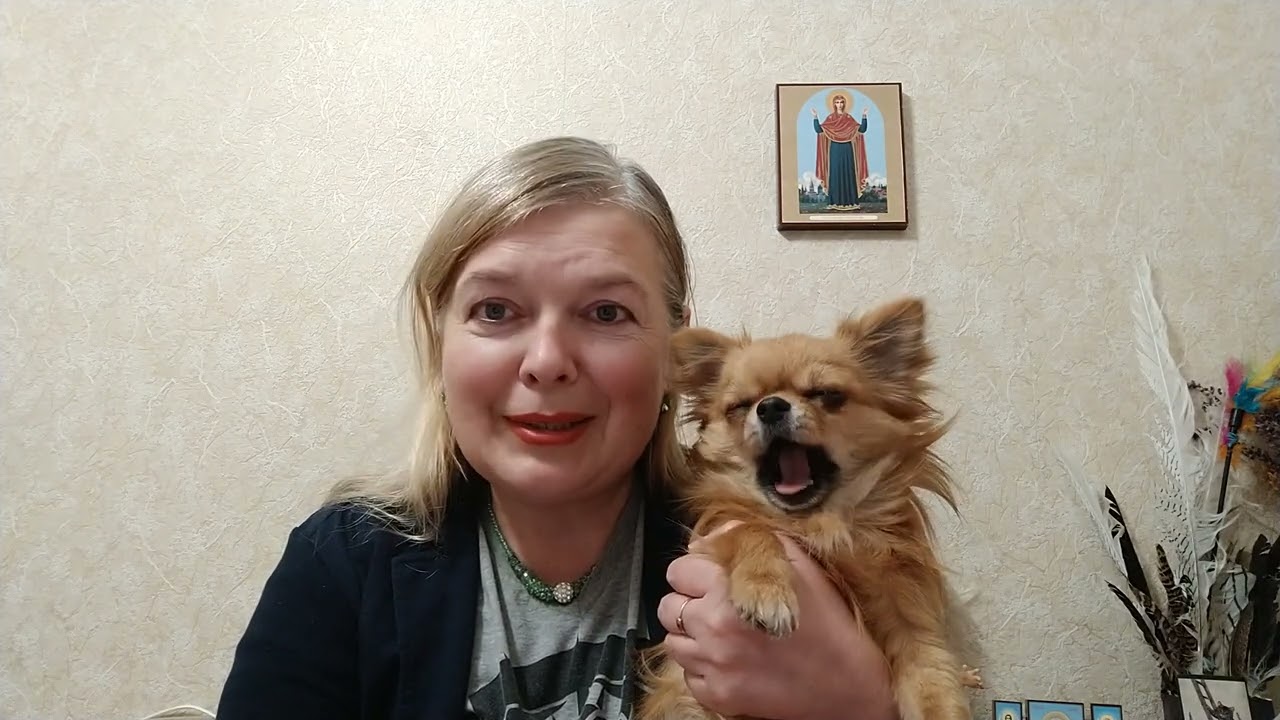 💥 ХЕРСОНСЬКА ОБЛАСТЬ 💥 ЛІВИЙ БЕРЕГ 🌊 ПО МІСТАМ 🏫 І СЕЛАМ 🏡 на 3-4 БЕРЕЗНЯ.