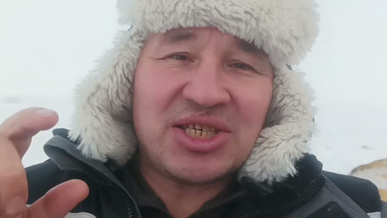 Бульдозер на зимнике, вахта, толкает стенку.