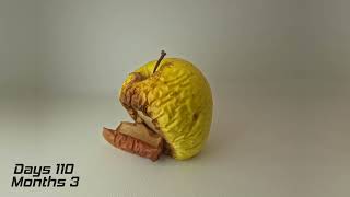 Apple decomposing - Time Lapse