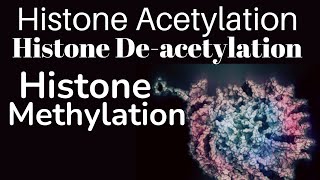 Histone modification in Hindi | Histone acetylation and methylation