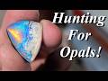 Opals From Ground to Cab! Hunting for, Cutting, & Cabbing Gorgeous Opals from the Spencer Opal Mine!