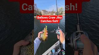 Cast To Catches Of Geecrack Bellows Craw On Bfs