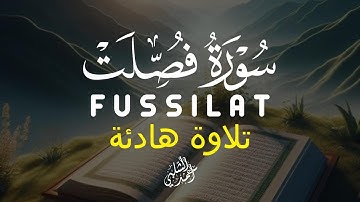 خشوع لا يوصف للقارئ أحمد الشلبي بتلاوته من سورة فصلت FUSSILAT