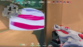 immo 2 push