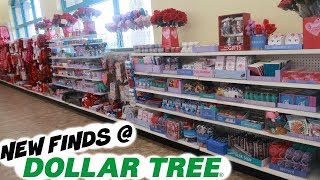 DOLLAR TREE SHOPPING * NEW FINDS 2-5-20