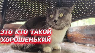 Это кто такой хорошенький припёрся?