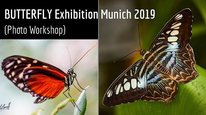 BUTTERFLY Exhibition Botanical Garden MUNICH 2019 ...