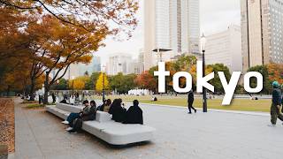 Living in Japan Vlog 10 🇯🇵 | Tokyo Fall Foliage, Red Maple, Yellow Gingko Trees