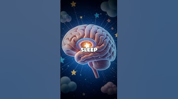 Unlocking the Secrets of Your Dreams: A Journey Through the Subconscious Mind