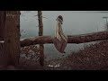 خالد النجار   خذني إليك إذا أردت بقاءنا نجومي