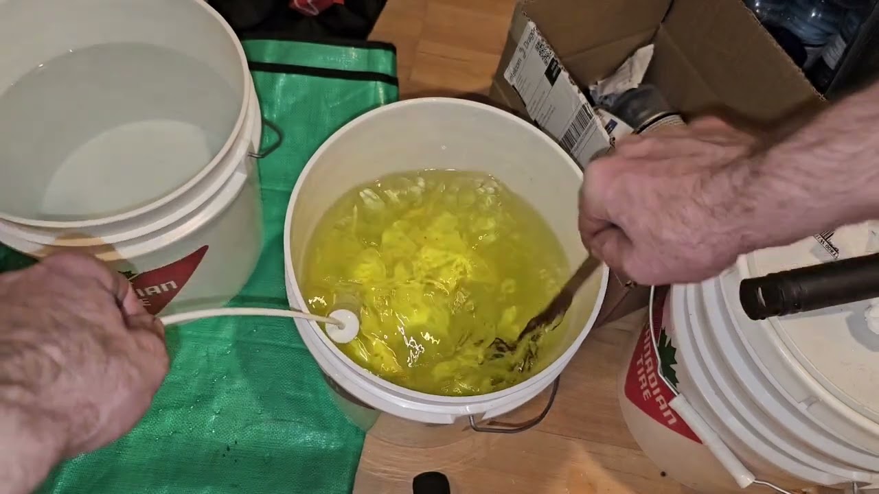 Complete Seed to Harvest Solo Cup DOCUMENTARY, Spiderfarmer SE-3000