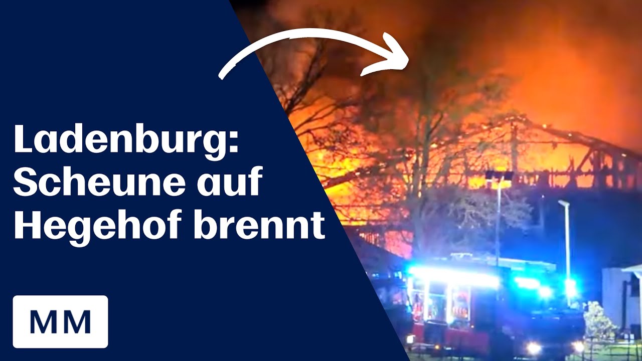Großbrand auf dem Hegehof: Scheune in Ladenburg zerstört
