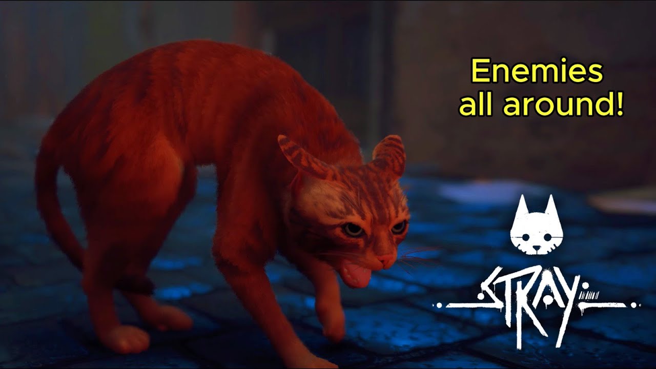 Stray | Dead City 2K 60fps