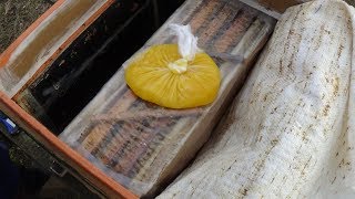 видео: Сохранить отводок зимой, теория на практике пасеки картинка: Сохранить отводок зимой, теория на практике пасеки