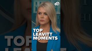 All the times Karoline Leavitt didn't hold back