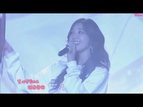 [中韓歌詞Live] Apink (에이핑크) - 'April 19th (4月19日) ' (PINK PARADISE)