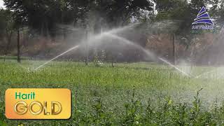 Harit Gold - GOLD STANDARD of metal sprinklers! screenshot 5