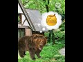 Papi me cuentas un cuento (créditos @HolaSoyGerman) | #countryballs #humor #shorts