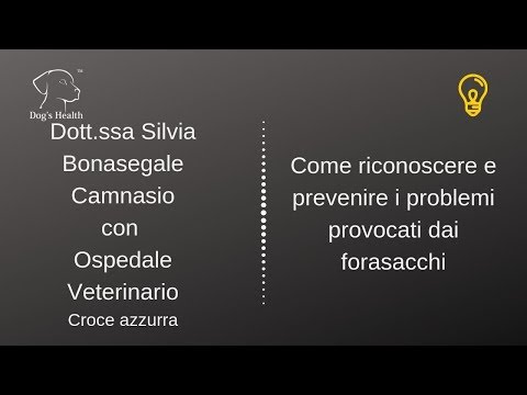 Video: Liquido Nei Polmoni Nei Cani