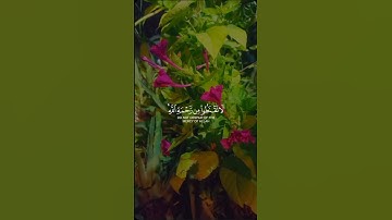اجب ان كنت تعرف الجابه( ماهي الليلة التي أنزل فيها القرآن الكريم) #اسئله_دينية ارح نفسك 😇❤