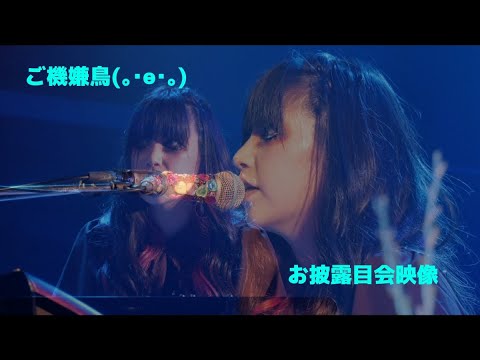 【お披露目会】ご機嫌鳥/ザ・ヒーナキャット