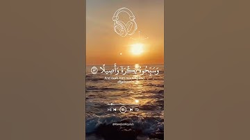 ما أجمل القرآن الكريم🌹 القارى ياسر الدوسري صوت من السماء
