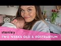 2 WEEK BABY & POSTPARTUM UPDATE - BABY DEVELOPMENT, BREASTFEEDING JOURNEY & 2 WEEK BELLY SHOT