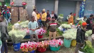 Exotic flowers sales at K R Market Bengaluru