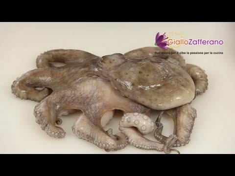 How to clean octopus - cooking