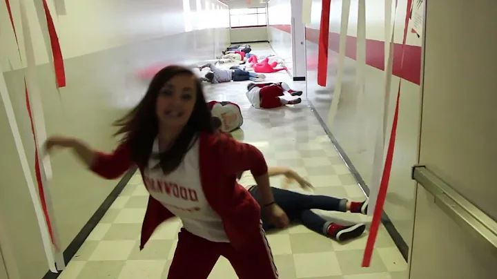 2014 Stanwood High School Lip Dub