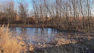 NYC LIVE Exploring Tottenville & Prince’s Bay, Staten Island (January 12, 2021)