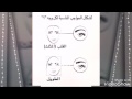 اشكال الحواجب