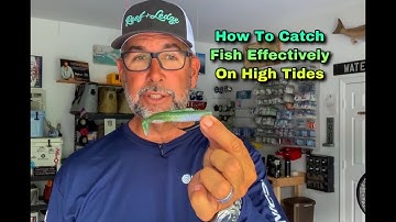 How To Catch Fish Effectively On High Tides - Flats Class YouTube