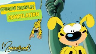 Le marsupilami à New york | Compilation | Marsupilami en Français