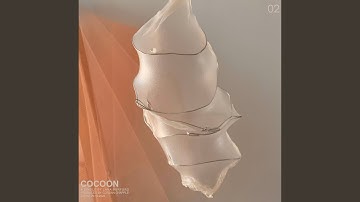 Cocoon