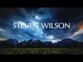 Steven wilson  ancestral guthrie solo