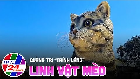 Quảng Trị “trình làng” linh vật mèo