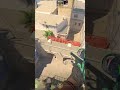 Mirage Fast B short smokes from T spawn #counterstrike2  #csgo